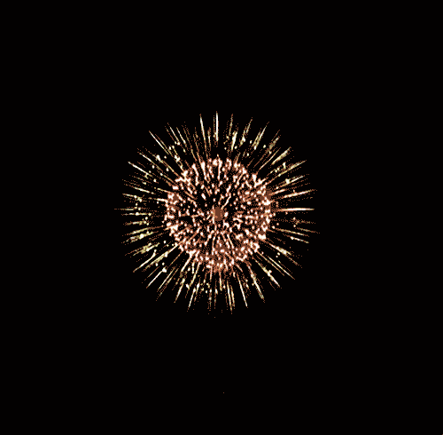 firework-9