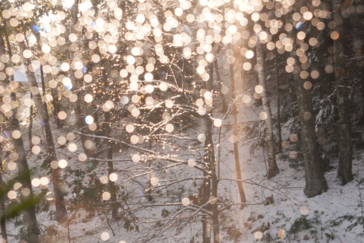 tumblr_static_beautiful-fairy-lights-winter-favim.com-275869-2665